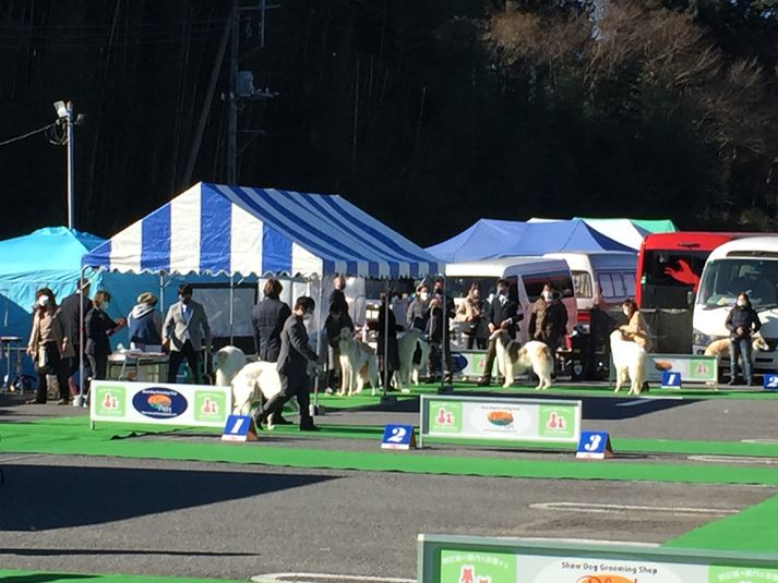 G区画（約2,150㎡） - サン・ポート