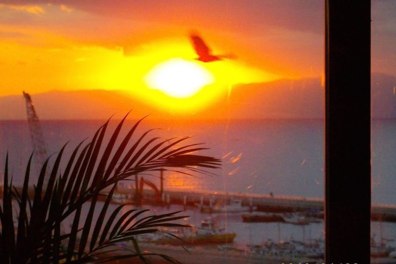 貸切パーティースペース - 江の島ミントハウス