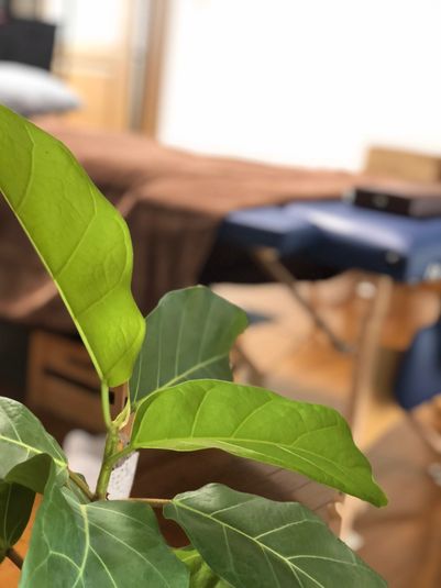 【エステルーム本館】名鉄岩倉駅/完全個室/整体リラクゼーション - レンタルサロンラベゼ