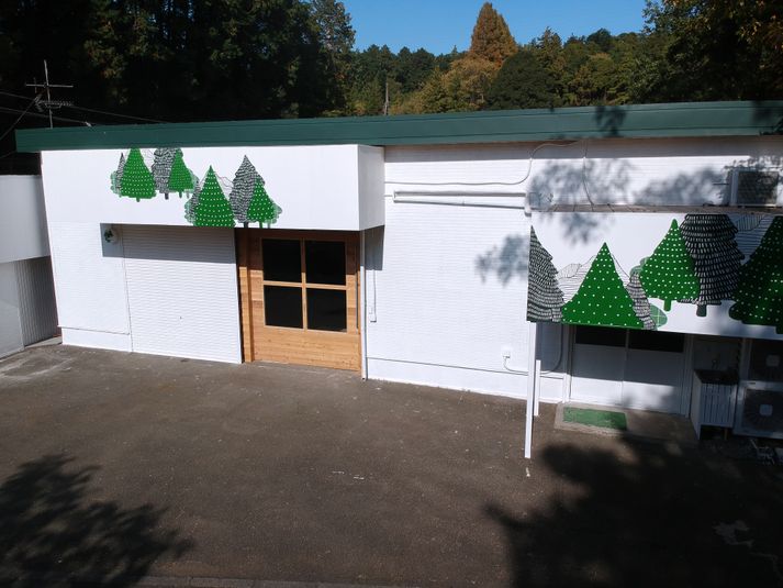 森の中の撮影スタジオ「Studio Go Wild」 - Studio Go Wild