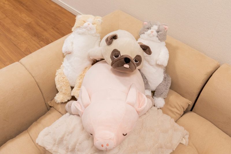 レンタルスペース - 148_コレクション五反田