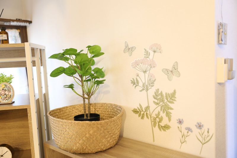 レンタルスペース - 181_Juvenile大久保