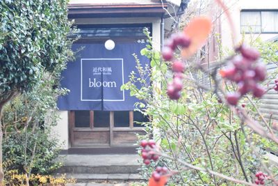 bloomは閑静な住宅街にある築60年の古民家をリフォームしたフォトスタジオです。 - フォトスタジオbloom レンタルスペース、多目的スペースの室内の写真