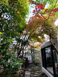 茶室の窓から見える日本庭園。*木の茂り方は季節によって異なりますのでご留意ください - 南青山デザイナーズハウス Studio Dream Sharingの設備の写真