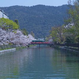 東山連峰をのぞむ東山三条エリアに位置しています。 - mado 自然光の入るレンタルワークスペースの室内の写真