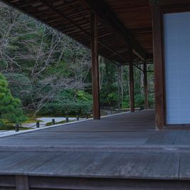 南禅寺エリアも徒歩圏内。集中したい時、リフレッシュしたいとき、庭園や寺社仏閣にふらっと訪れることができるので、感性をゆたかに刺激してくれます。 - mado 自然光の入るレンタルワークスペースの室内の写真