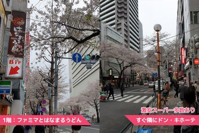 景色の良い新規オープン駅2分 《中野駅徒歩2分》風通し抜群！暖かい開放感ある明るい中野の入口の写真