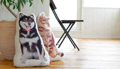 スペース活用例05：商品撮影 - Space et cetera 大須店 「Space et cetera(スペースエトセトラ」の室内の写真