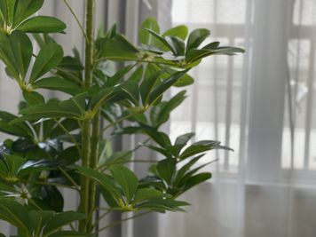 1_SS梅田 梅田 パーティースペース/女子会の室内の写真