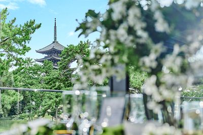 KOTOWA奈良公園 暁(パーティー会場)の室内の写真