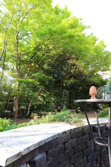 プライベートレンタルスペース・BBツリー - レンタルスペース「BBツリー」