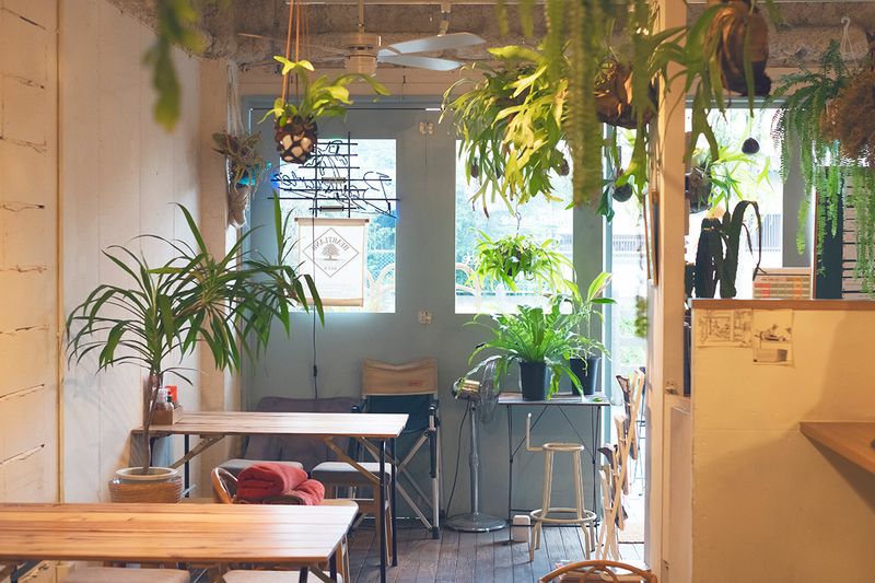 南国風の飲食店を貸切🌴誕生日会、音楽会、各種撮影も可🙆‍♂️ - バレアリック飲食店