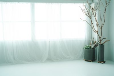 白床スペースの窓
#大阪
#レンタルスタジ
#梅田
#梅田レンタルスタジオ
#大阪レンタルスタジオ
#撮影会
#自然光 - 森ノ宮レンタルスタジオRoom01 Room01の設備の写真
