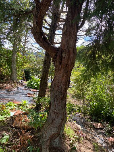 屋外イベント・レンタルスペース - レンタルスペース「リゾート飛騨」