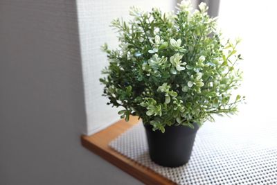 川口駅前とらのワークスペース 川口駅前とらのスペース ３０２のその他の写真