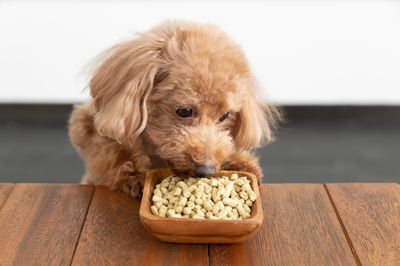 【小型犬・猫の同伴撮影可】 - STUDIO △ ROOF ▲ APARTMENT 401の室内の写真