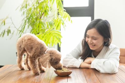 【小型犬・猫の同伴撮影可】 - STUDIO △ ROOF ▲ APARTMENT 401の室内の写真