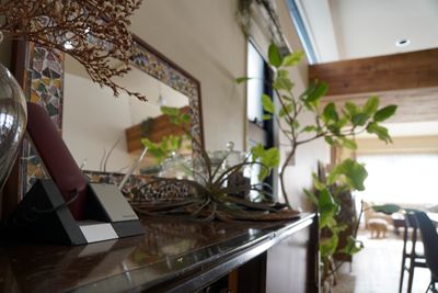 木のスタジヲ「Life」 個人使用基本プラン（商用は別プラン）の室内の写真