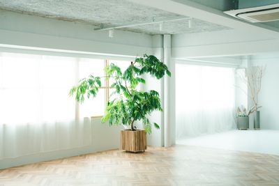 #大阪
#レンタルスタジオ
#森ノ宮レンタルスタジオ
#森ノ宮
#大阪レンタルスタジオ
#撮影会
#自然光 - 森ノ宮レンタルスタジオRoom01 Room01大阪レンタルスタジオの室内の写真