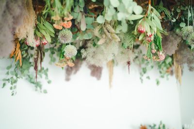 #大阪
#レンタルスタジオ
#森ノ宮レンタルスタジオ
#森ノ宮
#大阪レンタルスタジオ
#撮影会
#自然光 - 森ノ宮レンタルスタジオRoom01 Room01大阪レンタルスタジオの室内の写真