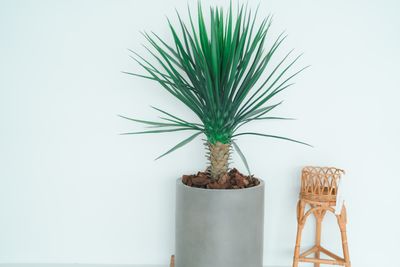 #大阪
#レンタルスタジオ
#森ノ宮レンタルスタジオ
#森ノ宮
#大阪レンタルスタジオ
#撮影会
#自然光 - 森ノ宮レンタルスタジオRoom01 Room01大阪レンタルスタジオの設備の写真