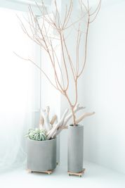 #大阪
#レンタルスタジ
#森ノ宮
#森ノ宮レンタルスタジオ
#大阪レンタルスタジオ
#撮影会
#自然光 - 森ノ宮レンタルスタジオRoom01 Room01大阪レンタルスタジオの設備の写真