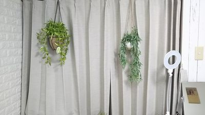 観葉植物（小）、ＬＥＤライト - アートキャップの写真スタジオ ポートレート/宣材写真/商品の撮影の設備の写真