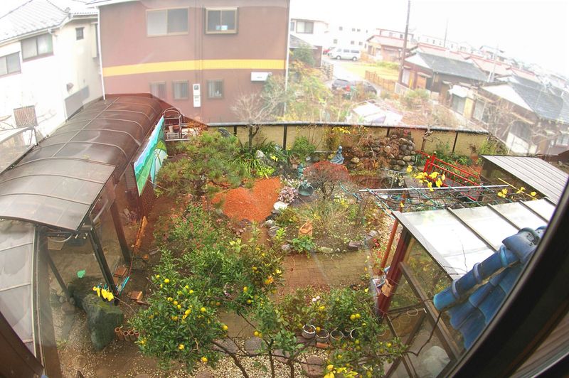 BBQキャンプとパーティー4時間。定員6名 - コウノトリの里の宿