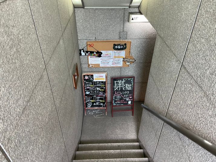 朗読会・イベント - 長靴と猫店