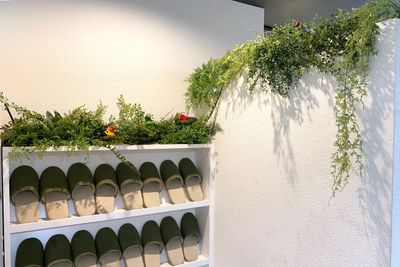 グリーンの香りがお部屋へ誘います。 - レンタルスペース渋谷AGURA道玄坂の設備の写真