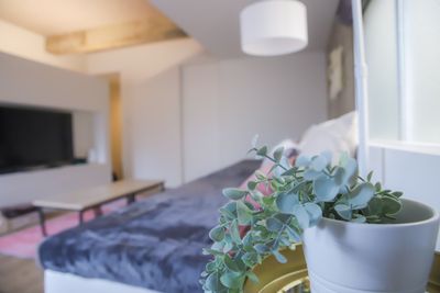 CasaBlan難波 おうちスペースの室内の写真