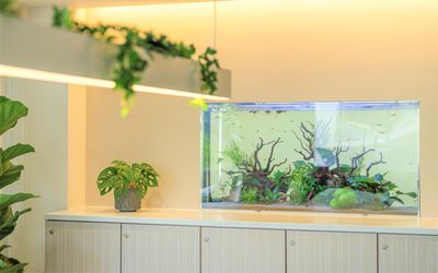 季節ごとに趣の変わる水槽に癒されます - Gran-S東戸塚 フリースペースの室内の写真