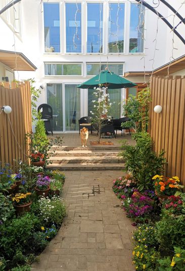 漆喰壁と無垢床のナチュラルな空間 - レンタルスペースユニコーン）