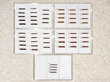 セーブルエクステ0.15
4色（ダーク、アッシュ、キャメル、ボルドー） - EYENA eyelash 【ベッド3】マツエク、アイブロウ専用サロンの設備の写真