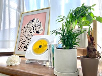 日当たり良好⭐︎ - 天王寺レンタルサロン 天王寺レンタルサロン の室内の写真