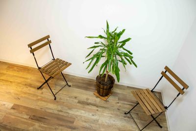 折りたたみ式ウッドチェアが2つと中型の観葉植物がございます - ホビスペ大井町 YouTube向け撮影スタジオの設備の写真