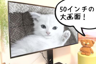 テレビは大迫力の50インチ！映画📺・ライブ鑑賞🎉にぴったり - COCO立川の室内の写真