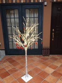 白樺のクリスマスツリー -  FOUR DIRECTIONS SPACE FOUR DIRECTIONSの設備の写真