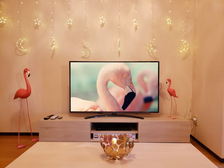 【備前交差点から車で5分】駐車場あり✨女子会/お家デート/誕生会 - ガルミンゴ岩出店