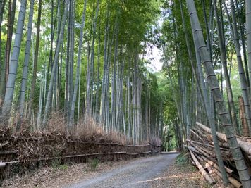 日照庵 京都のお寺の会館を貸し切って研修や各種イベントに！のその他の写真