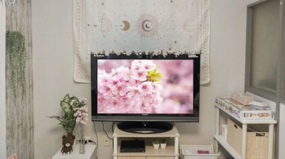 42型のモニター導入。Fire TV stick付。 - ベア並木坂 ティディベア＆ふわふわラグのくつろぎスペースの室内の写真