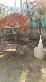 紅葉〜12月の庭の様子 - 旗の台シェアハウス 作業や勉強向きの個室スペースのその他の写真
