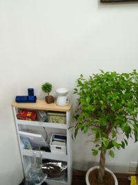 伊丹院が満室の場合は、塚口院も利用できます。 - ※※さくら鍼灸整骨院（伊丹）※※ 阪急伊丹駅東徒歩３分☆マッサージ等に利用OK※当院共有時間あり※の室内の写真