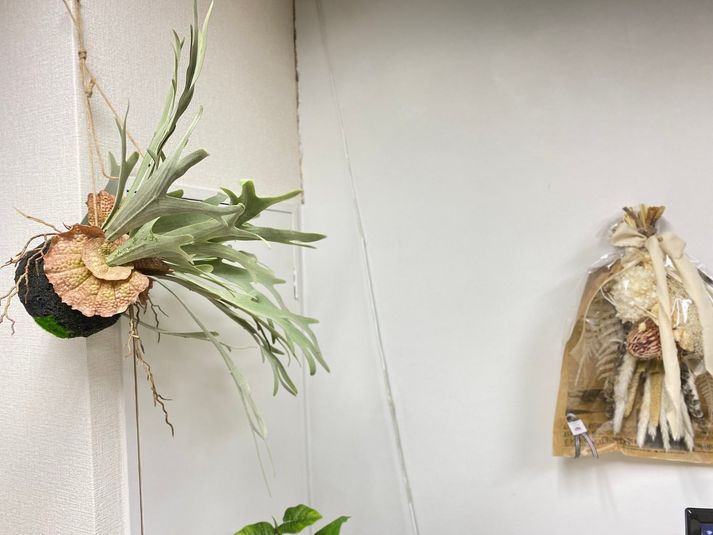 【渋谷/道玄坂】 - #ニッコーGoburin【渋谷/道玄坂】_045