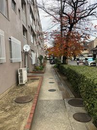 ゼンヨガ レンタルスタジオの室内の写真