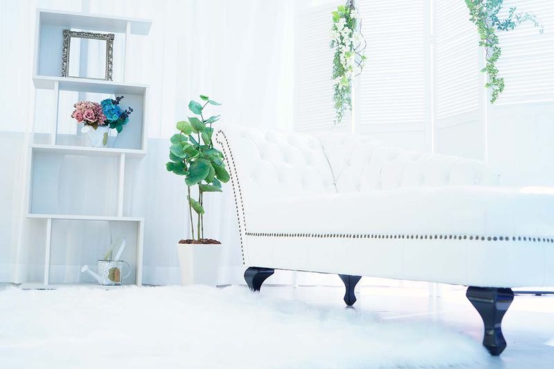 【ショートプラン】カメラマン撮影｜背景多数｜自然光｜駅徒歩5分 - Studio ZIPPER（ジッパー）