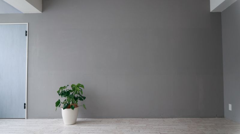 動画｜写真撮影スタジオ - 【レンタルスペース】スタジオジジ