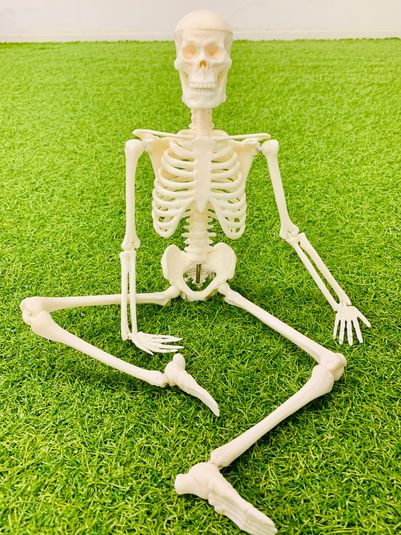 完全個室のプライベート空間のジム - パーソナルトレーニングcheerful.