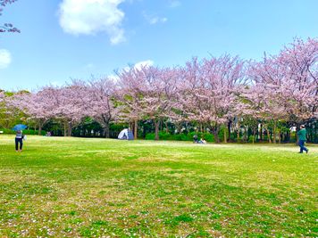 代々木公園徒歩10分🌸お花見の後は暖かいお部屋でお楽しみください♬ - レンタルスペース渋谷AGURA道玄坂 完全個室の上質プライベート✨レンタルスペース渋谷AGURA道玄坂の設備の写真