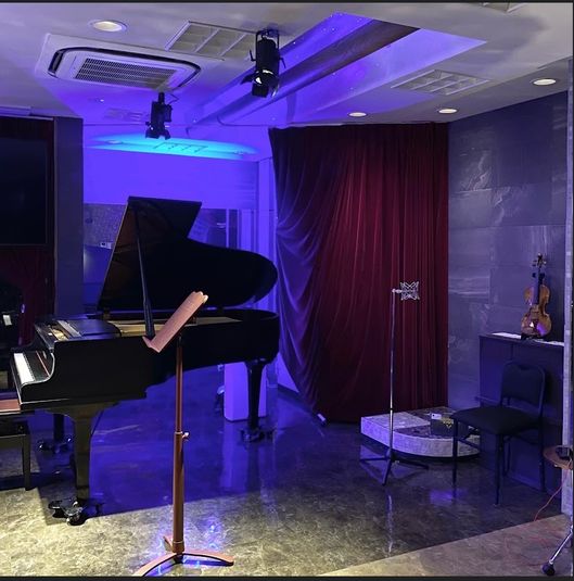 音楽ホール　多目的ホール　サロン - MUSE TONE TOKYO